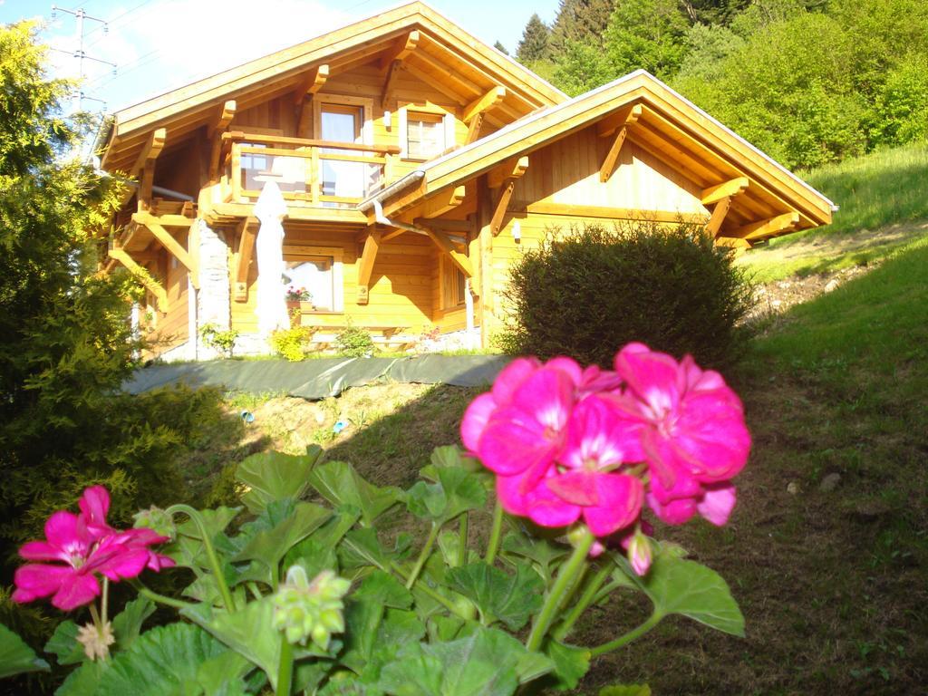 Les Chalets Des Chatelmines La Bresse Buitenkant foto