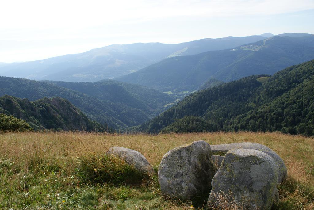 Les Chalets Des Chatelmines La Bresse Buitenkant foto