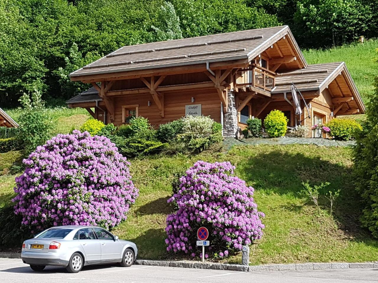 Les Chalets Des Chatelmines La Bresse Buitenkant foto